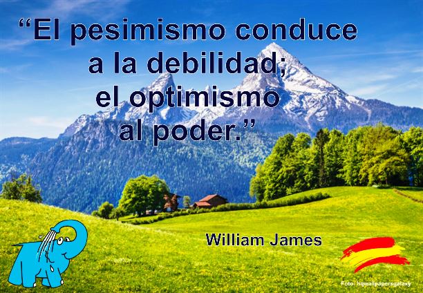 El pesimismo conduce a la debilidad; el optimismo al poder.